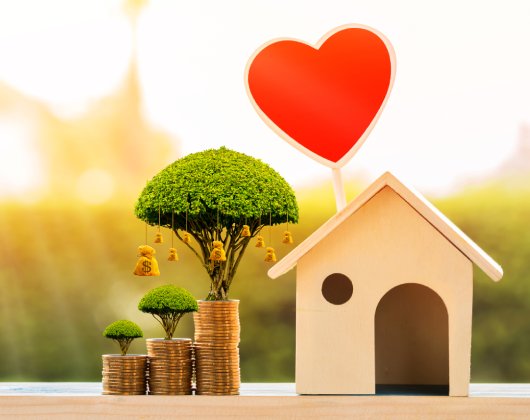 BSV Promoters Pvt Ltd - About us